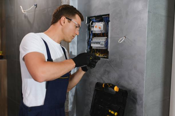 Best Electrical System Inspection  in Tonka Bay, MN